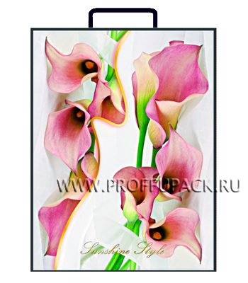 Пластиковый пакет "Орхидеи", 41х32х10 см.