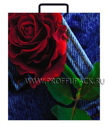 Пластиковый пакет "Красная роза", 26х23х10