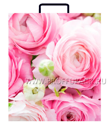 Пластиковый пакет "Розы", 26х23х10 см.
